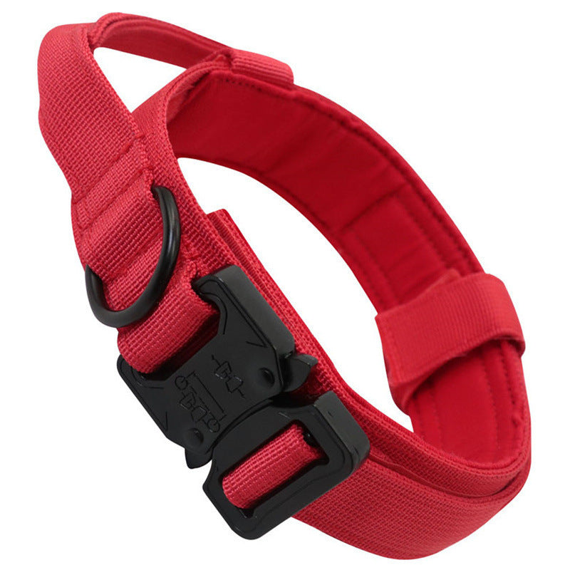 Collier Tactique Chien avec Laisse - Entraînement Extérieur