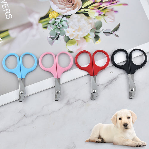 Coupe-Ongles Chat et Chien en Acier Inoxydable