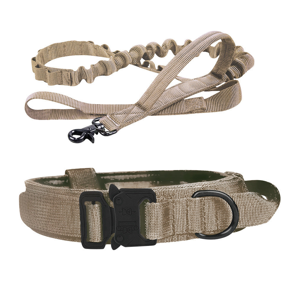 Collier Tactique Chien avec Laisse - Entraînement Extérieur