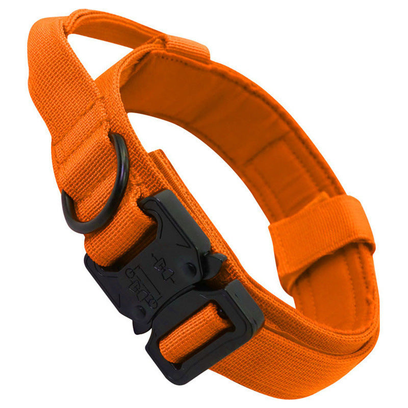 Collier Tactique Chien avec Laisse - Entraînement Extérieur