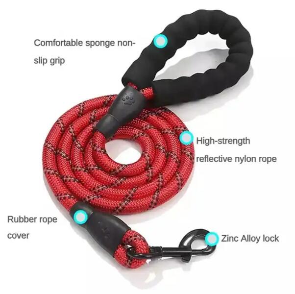 Laisse Chien Corde Ronde Nylon Poignée Mousse