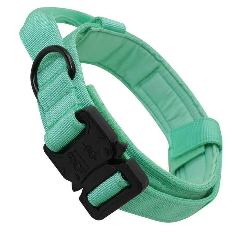 Collier Tactique Chien avec Laisse - Entraînement Extérieur
