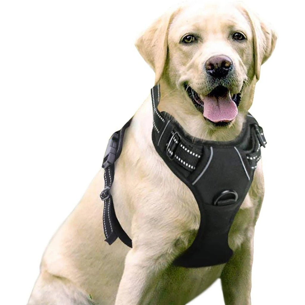 Harnais Chien Type Gilet — Anti-Traction & Confort