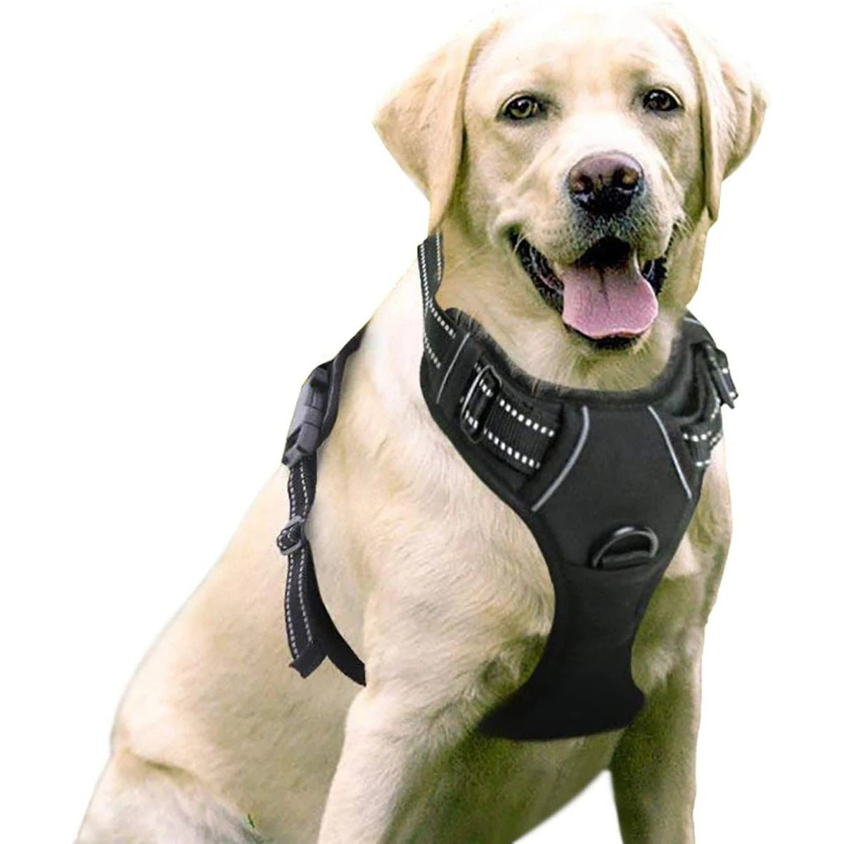 Harnais Chien Type Gilet — Anti-Traction & Confort