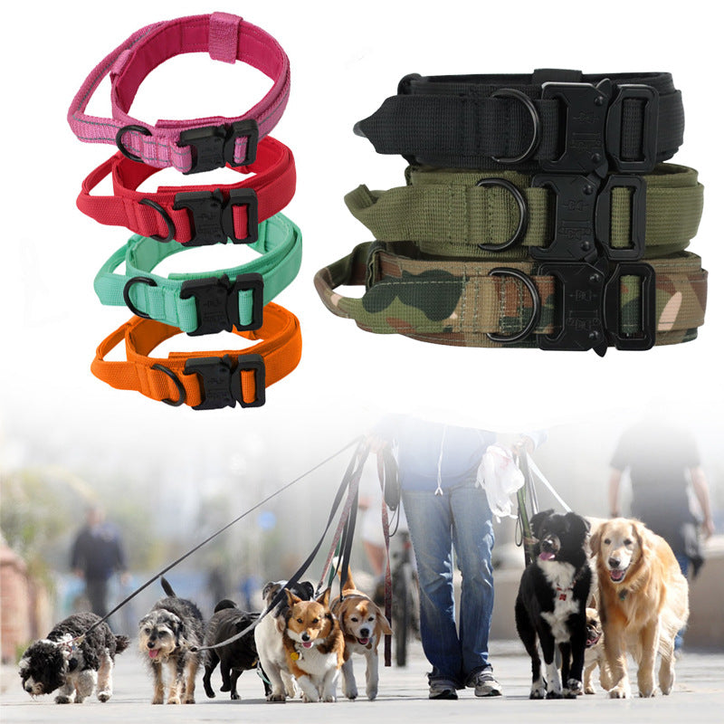 Collier Tactique Chien avec Laisse - Entraînement Extérieur