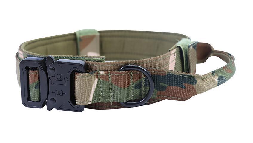 Collier Tactique Chien avec Laisse - Entraînement Extérieur