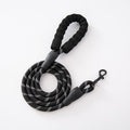Laisse Chien Corde Ronde Nylon Poignée Mousse