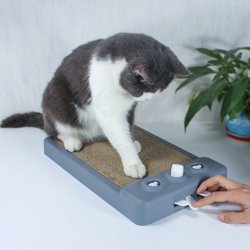 Griffoir Chat en Carton Ondulé — Anti-Ennui & Toutes Fonctions