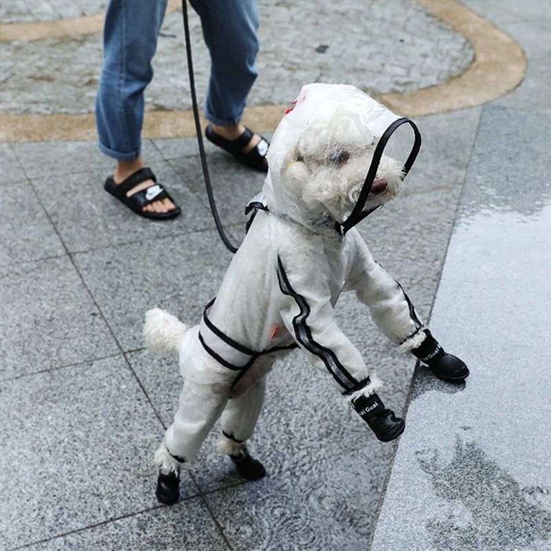 Imperméable Chien Hoopet — Manteau de Pluie Léger & Transparent