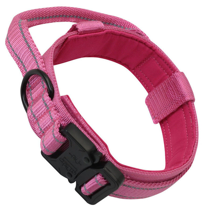 Collier Tactique Chien avec Laisse - Entraînement Extérieur