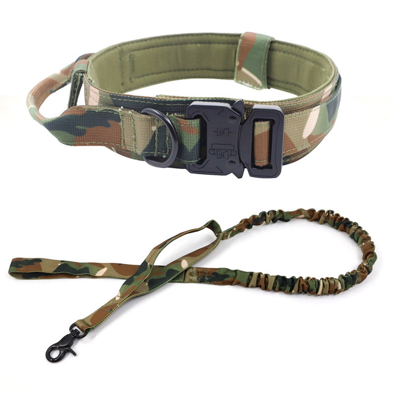 Collier Tactique Chien avec Laisse - Entraînement Extérieur