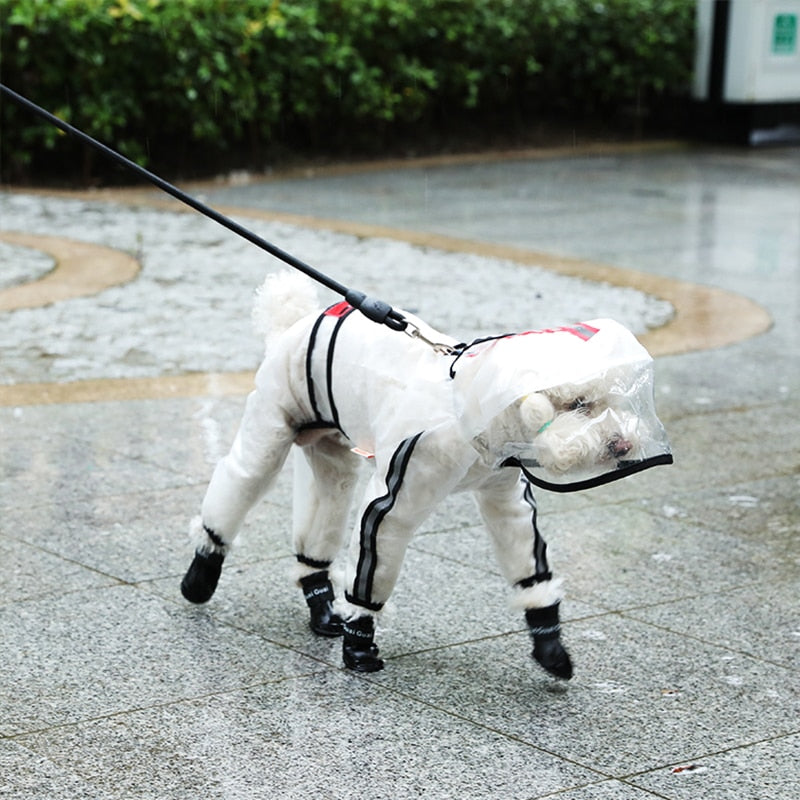 Imperméable Chien Hoopet — Manteau de Pluie Léger & Transparent