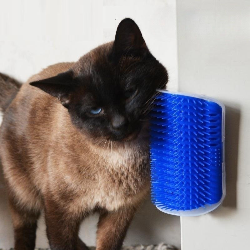 Brosse d'Angle Murale 4 Couleurs pour Chat + Herbe à Chat Offerte