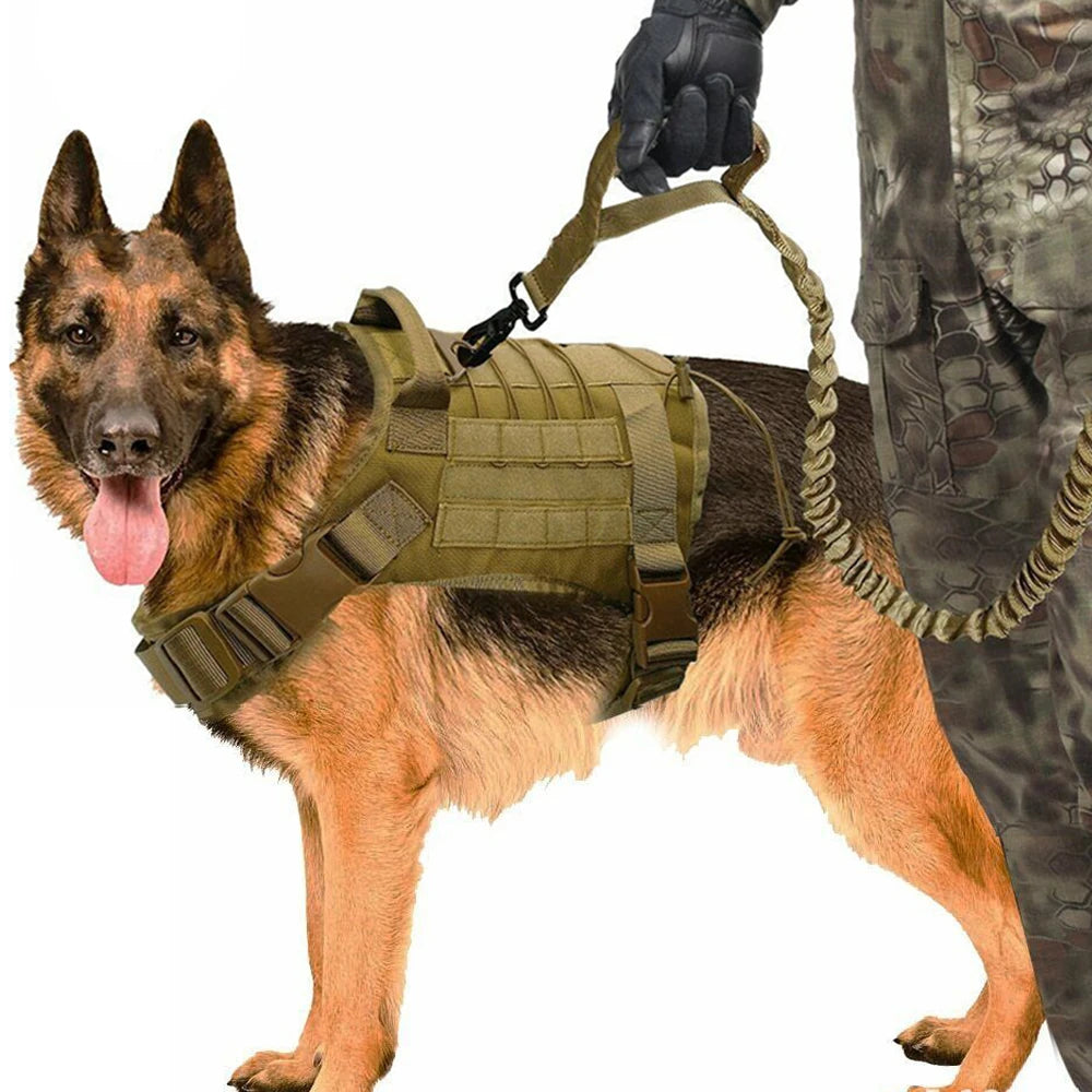 Harnais Tactique Chien Respirant Style Militaire